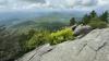North Carolinians going to Grandfather Mountain to beat the heat