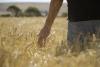 Iowa Farmers Could Benefit As USDA Is Putting 500 Million Dollars Into Homegrown Fertilizer Production