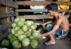 Farm goods being counted on to boost export growth — DTI