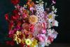 Our love affair with flowers has come at a cost, Flora Culture author says
