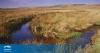 UK commits £47 million to restore England's peatlands