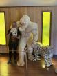 The Bigfoot Museum and Research Center to celebrate grand opening in Oak Hill on July 4