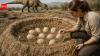 Scientists recreated a dinosaur nest to uncover how eggs stayed warm 70 million years ago