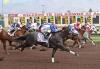 Zia Futurity trials top Friday program at Albuquerque Downs