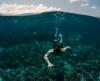 A Public Reminder on Marine Wildlife Awareness and Safety