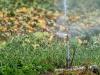 Forest fire risk level raised in parts of Switzerland