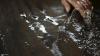 Rome Resources completes drilling campaign at DRC project