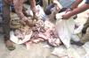 How stale fish were made to look fresh, served at weddings and hotels in Hyderabad