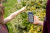 Northern Ireland now has 6000 more trees and 1427 more animal habitats