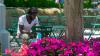 Detroit Evening Report: Extreme heat warning continues
