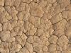 U.S. Department of Agriculture designates Tazewell County as a natural disaster area following recent drought