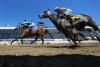 Maryland Board of Public Works approves purchase of Laurel Park race track