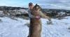 Schroeder bags a 140-pound Montana mountain lion