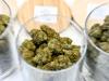 Cannabis worth $1.2m seized at port of Hamburg, 8 arrested in Poland