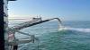 USACE releases final environmental review for proposed Wilmington harbor deepening