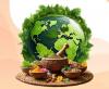 Niti Aayog proposes global licensing framework to boost Ayurveda