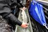 US lowers regulatory burdens on fishing, adviser Navarro says