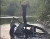 RCMP looking for 2 men who allegedly drove car into New Brunswick river