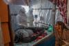 Journalist describes a month in the epicenter of Congo’s Ebola outbreak