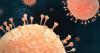 Ohio Cyclospora Cases Near 400: Which Counties Have Reported Infections?