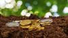 Ireland's potential share of EU fertiliser aid 'derisory'- ICMSA