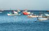 European Commission interested in simplifying funding for fisheries and aquaculture
