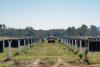 European Energy closes Winton North financing