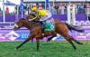 Africa's richest horse race ready for another memorable chapter