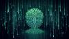 Finding the balance: AI and sustainability