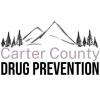 Music Access Mini Grant to help Carter County students pursue music education