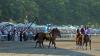Blistering heat wave causes huge New Jersey horse race to be canceled