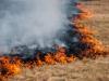 Large Wildfire Scorches Hungary's Hortobágy National Park