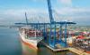 Port of Charleston to Pause Operations at Leatherman Terminal