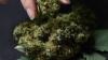 Medical marijuana law expanding treatment options takes effect