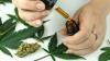 Study: Cannabis Treatment Provides “Meaningful Benefits” for Patients With Parkinson’s