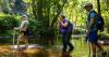 These parasitic CT River fish are 'ecosystem engineers.' How to stop worrying and love the lamprey
