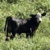 Drought breaks in southeastern Nebraska