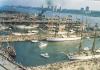 Sail 250: Massive, Beautiful Tall Ship Fleet Honors America’s 250th