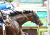 Two for Tomlinson: Veteran Trainer Closes Out Churchill Downs Meet with Stakes Double