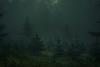 10 Illinois Places With the Most Bigfoot Sightings