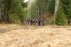Enhanced border surveillance extended in Latvia