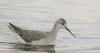 Montana Fish Wildlife and Parks rolls out animal tracking radio towers