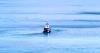 Giant vessel off Bonita Beach sparks questions as WINK News digs into international fiber optic project