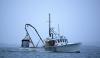 Trump lifts Biden/Obama ban on fishermen accessing booming scallop fishing grounds