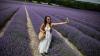 Kent lavender farm forced to install wi‐fi boosters as influencers descend on fields