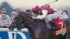 Famed jockey hospitalized with broken ribs and broken thumb after traffic accident in Newmarket