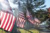 VOICES on freedom