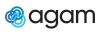 Agam names new CEO for Japan business