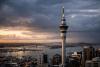 #regional: Smart Technology Targets Sediment to Protect Auckland’s Harbours