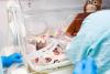Newborn orangutan twin dies at Taipei Zoo; sibling critical